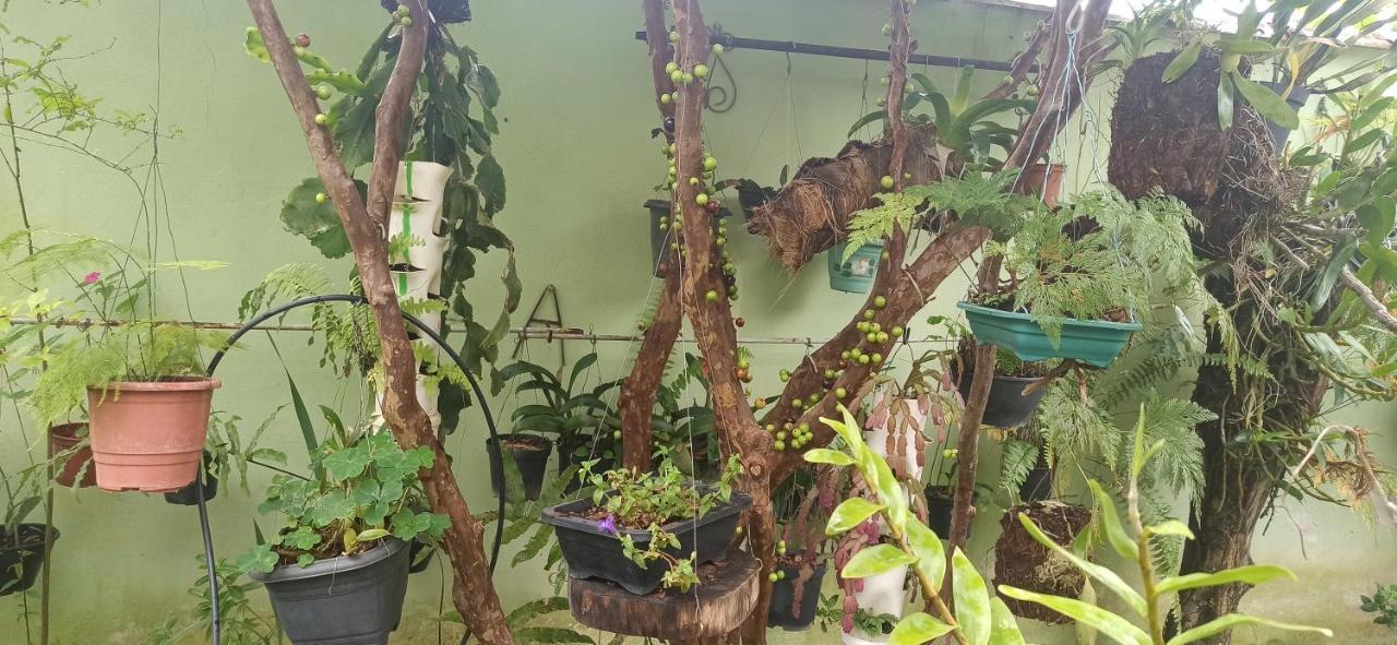 הוילה קרגואטטובה Espaco Aconchego Com Ar-Condicionado E Amplo Jardim מראה חיצוני תמונה